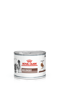 Royal Canin Recovery 195gr