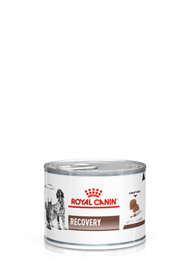 Royal Canin Recovery 195gr
