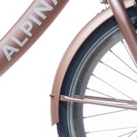 Alpina spatbord set + stang 22 clubb rose gold matt