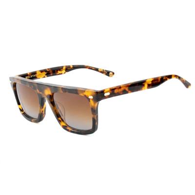 Zonnebril Uniseks Belstaff RANDFORD-II-S161 ø 58 mm