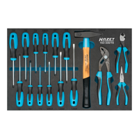 HAZET Gereedschapset 163-330/16 - Kruiskop profiel PH, Sleufprofiel, Binnen-TORX®-profiel - 16-delig - 0,5 x 3 - 1,2 x 6,5 - PH1 - PH2 - T10 - T30