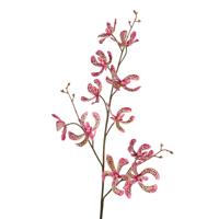Roberts Collection Kunsttak orchidee vanda groen/roze 106cm