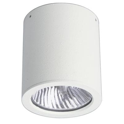Albert Opbouwspots buiten plafondCylinder 11cm - 682130