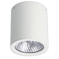 Albert Opbouwspots buiten plafondCylinder 11cm - 682130