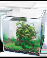 Superfish QubiQ 30 Pro wit