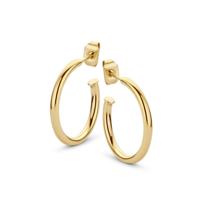 Oorbellen hoops | 15-45 mm - Stainless steel - Goud - 20 mm