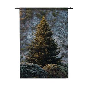 Wandkleed Kerstboom in het Bos 90x135 Zwart Garen