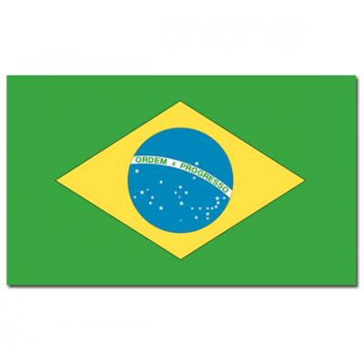 Vlag Brazilië - 90 x 150 cm - Braziliaanse Vlag - Brasil