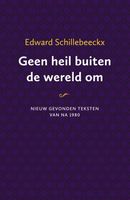 Geen heil buiten de wereld om - Ted Schoof, Erik Borgman - ebook