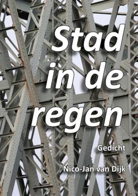 Stad in de regen. (Paperback)