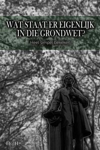 Wat staat er eigenlijk in die grondwet? - Haye Van der Heyden - ebook