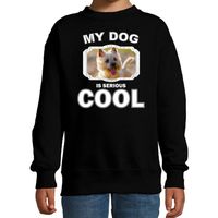 Honden liefhebber trui / sweater Cairn terrier my dog is serious cool zwart voor kinderen 14-15 jaar (170/176)  -