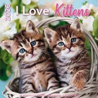 I Love Kittens Kalender 2026