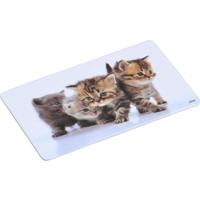 Ontbijtbordjes/ontbijtplankjes/broodplankjes met kitten/katten print - 4x - kunststof - 14 x 24 cm