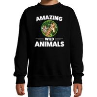 Sweater giraffen amazing wild animals / dieren trui zwart voor kinderen - thumbnail