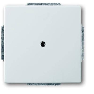 Busch-Jaeger 2CKA001710A3752 Afdekking RVS 1 stuk(s)