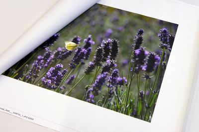 Gevernist canvas zonder frame 20x160 cm