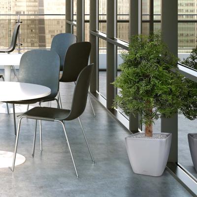 Ming Aralia kunstplant 90cm - UV bestendig