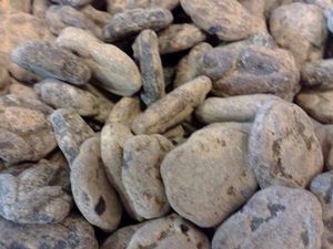 Kindly's Kindly - Salmiak Kikkers 250 Gram