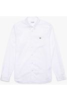 Lacoste Regular Fit Overhemd wit, Effen