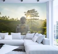 Boeddha mediteren in de natuur fotobehang