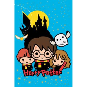 Harry Potter fleece plaid cartoon - 100 x 150 cm (blauw)