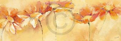 Kunstdruk Elena Filatov - Feldblumenparade 99x34cm