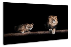 Karo-art Schilderij -Leeuw en Leeuwin, 2 maten, wanddecoratie