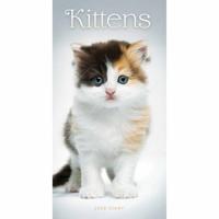 Kittens Slim Agenda 2026