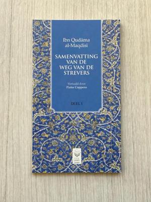 Samenvatting van de weg van de strevers (Paperback)