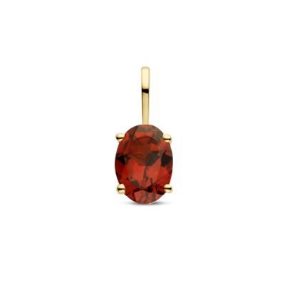 14k Geelgouden Hanger Geboortesteen Granaat Januari 12,5mm