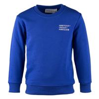 Sweater Oliver Cobalt