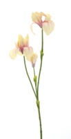 Iris spray Fletcher yellow 103 cm kunstbloem - Nova nature