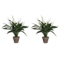2x stuks spathiphyllum lepelplant kunstplanten wit in keramieken pot H50 x D40 cm - Kunstplanten - thumbnail