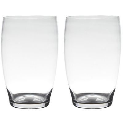 Set van 2x stuks transparante home-basics vaas/vazen van glas 20 x 15 cm Naomi