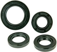 101 OCTANE Motor-keerring set