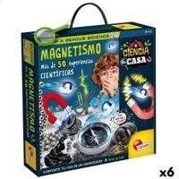 Wetenschapsspel Lisciani Giochi Magnetismo ES (6 Stuks)