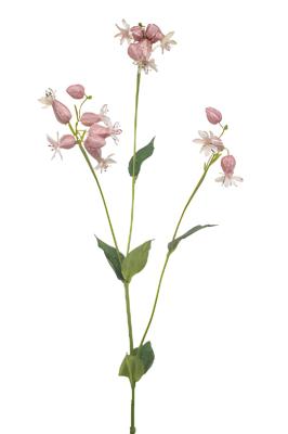 Silene spray pink 80 cm Emerald - Emerald