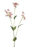 Silene spray pink 80 cm Emerald - Emerald