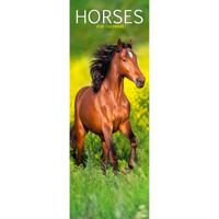 Paarden Kalender 2026 Slimline