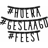 Letterslinger geslaagd - 170 cm - karton - slinger - versiering thema