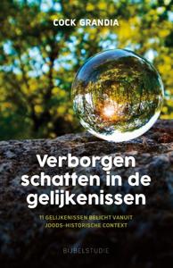 Verborgen schatten in de gelijkenissen (Paperback)