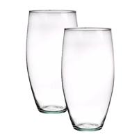 Bloemenvaas Raine - 2x - helder transparant glas - D13 x H25 cm - decoratieve vaas - bloemen/takken
