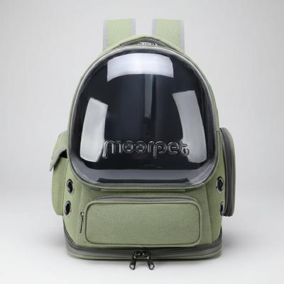 Transparante Katten Draagtas Voor Reizen En Buiten