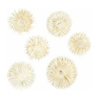 Creativ Company Gedroogde bloemen