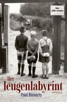 Het leugenlabyrint - Paul Binnerts - ebook - thumbnail