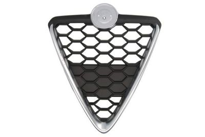 Radiateurgrille 6502070105999P