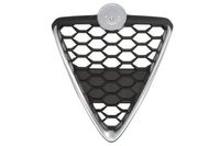 Radiateurgrille 6502070105999P