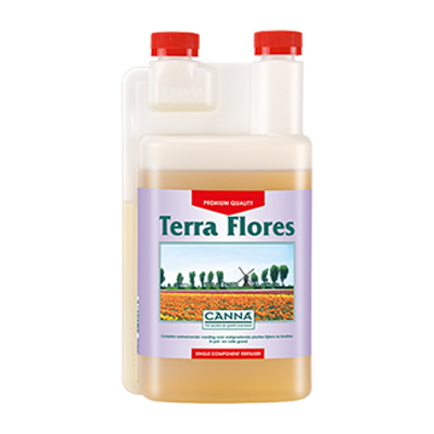 Canna Canna Terra Flores