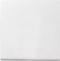 029627  - Cover plate for switch/push button white 029627 - thumbnail